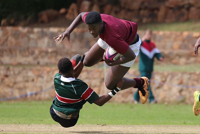 历不仅是对 历不仅是对